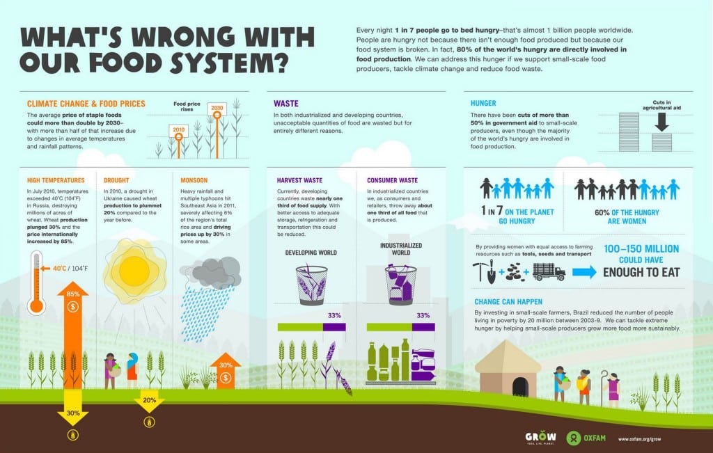 food-production-infographic